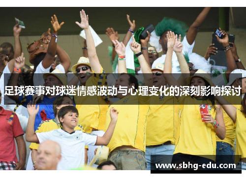 足球赛事对球迷情感波动与心理变化的深刻影响探讨